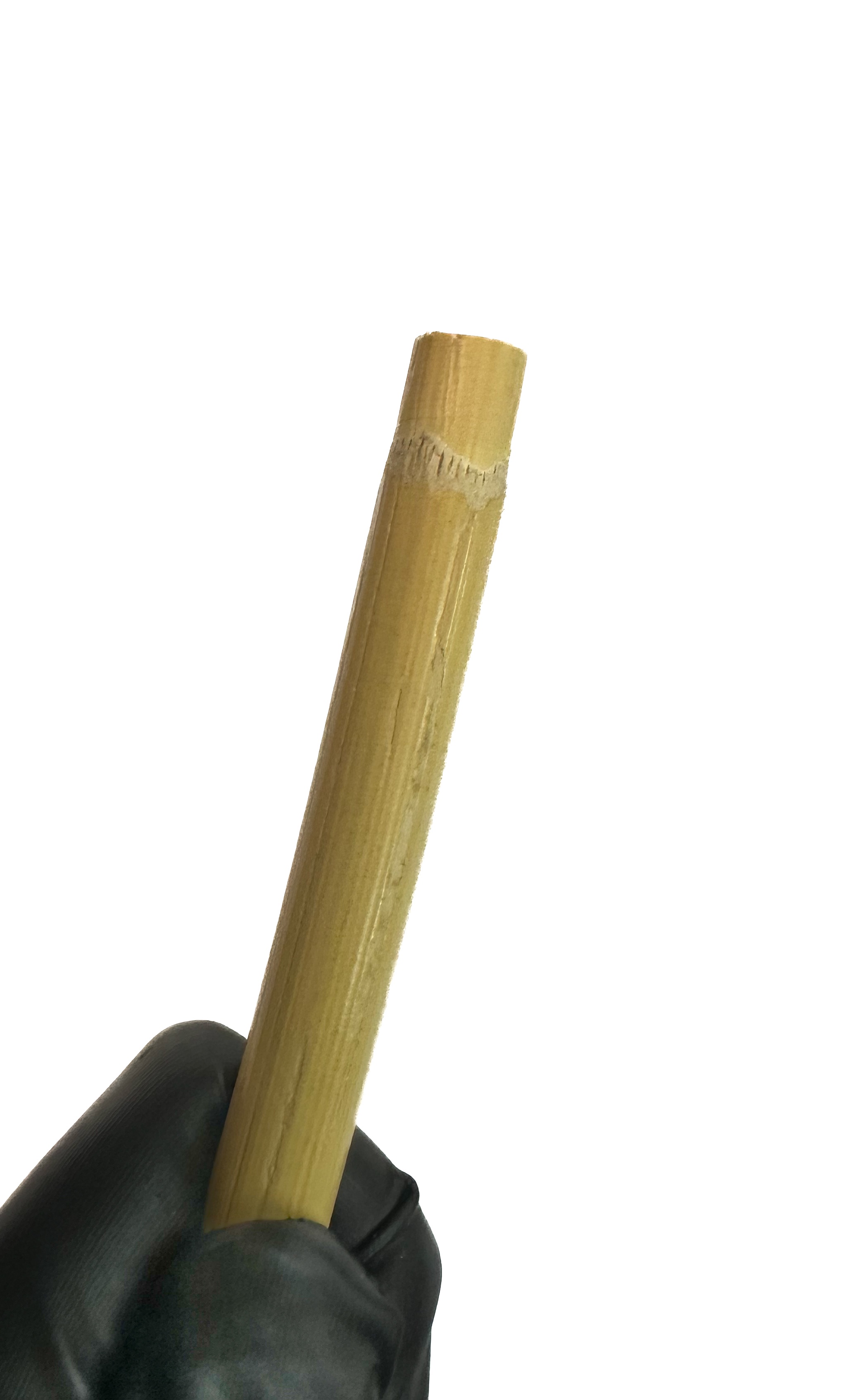 Cane unbehandelt, ungeschält, ca. 10 mm dick, Länge ca. 80 cm