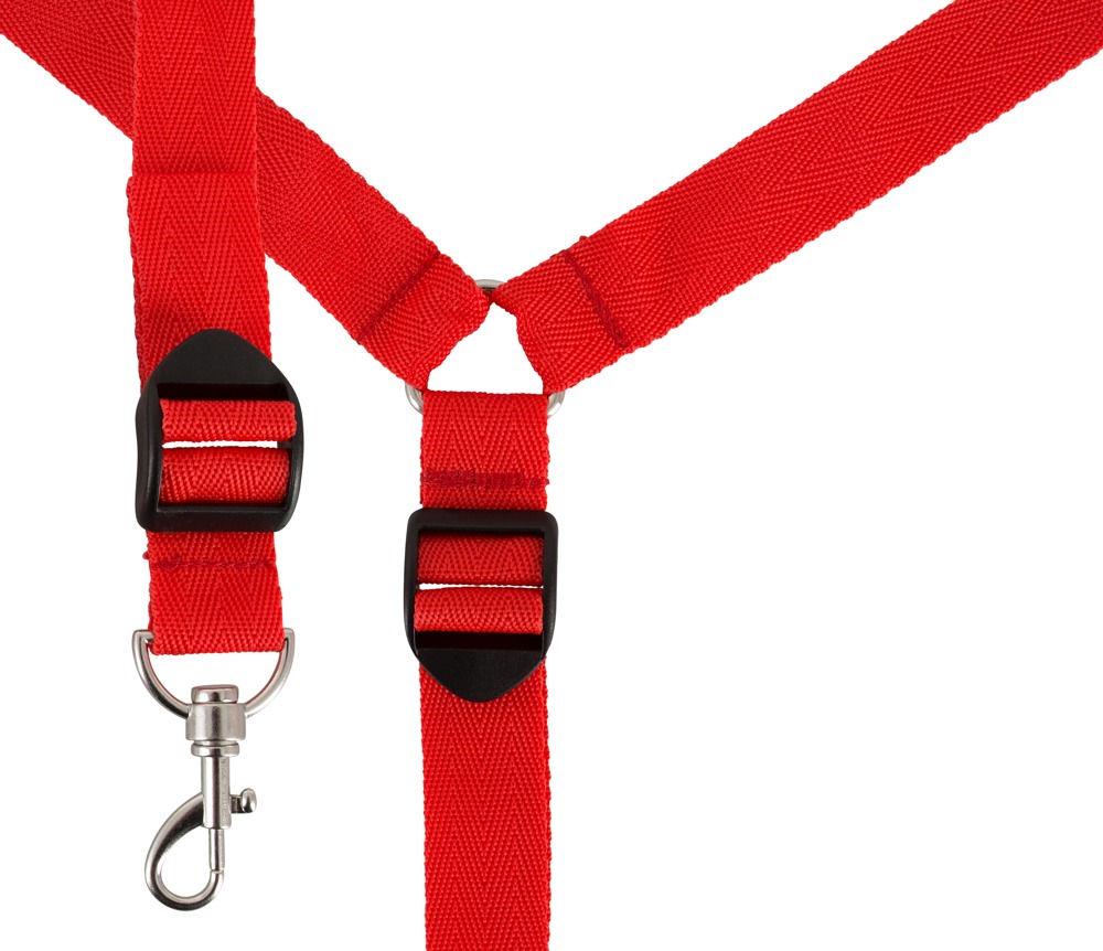 Bettfessel-Set aus Lederimitat mit verstellbarem Riemenkreuz – Bad Kitty